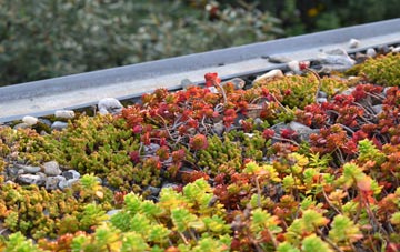 the cost of Inglemire green roof installation