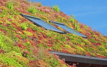 Inglemire living roof systems