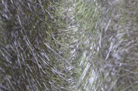 Inglemire fibreglass roof work